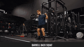 Barbell Back Squat demo