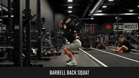 Barbell squat demo
