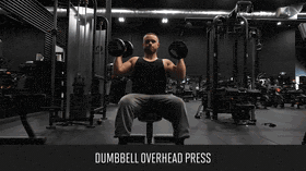 Dumbbell shoulder press demo