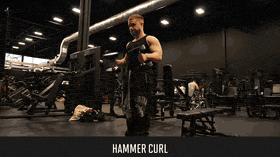 Hammer Curl demo