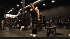 Inverse Zottman Curls demo