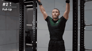Pull-up demo