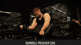 Preacher Curl demo